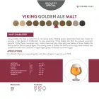 Viking Golden Ale slad