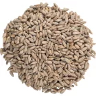 Viking Rye Pale slad