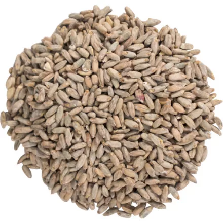 Viking Rye Pale slad
