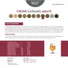 Viking Caramel 150 malt