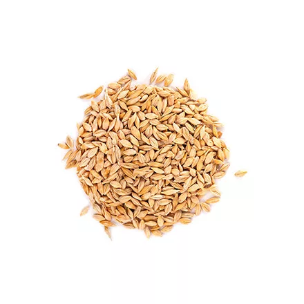 Viking Smoked Wheat malt