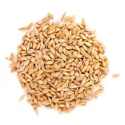 Weyermann Oak Smoked Wheat Slad