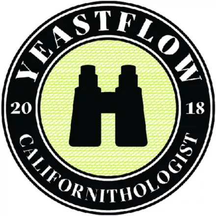 YF-302 Yeastflow Californitologist kvasac