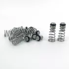 10 x Poppet & Spring (Value Pack)