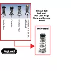 10 x Poppet & Spring (Value Pack)