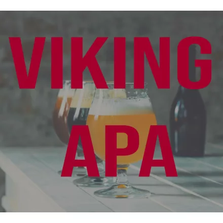 H-00100 Viking APA 21L - BEZ KVASCA