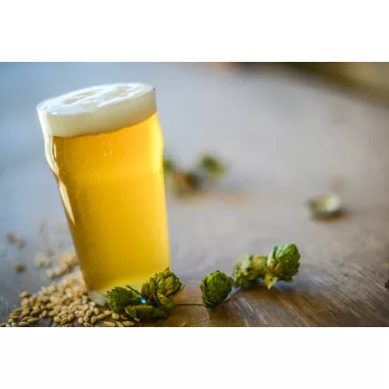 H-00510 Munich Helles / Bavarian Lager - 21L