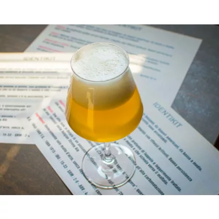 H-01040 Belgian Blonde 21L - YEASTFLOW