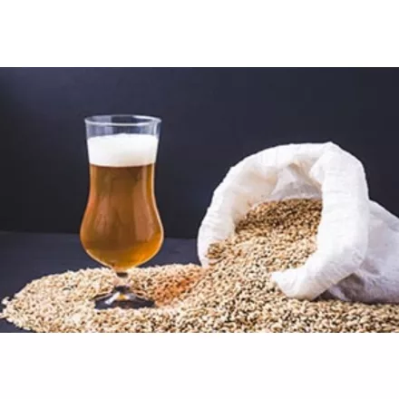 H-01140 Easy IPA 21L - YEASTFLOW