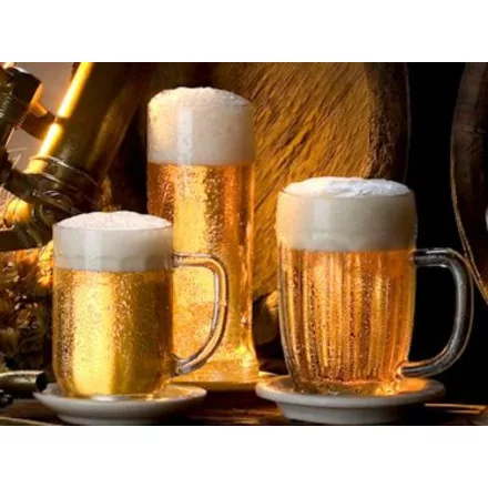 H-02610 Czech pilsner 21L