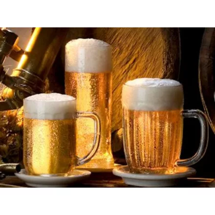 H-02640 Czech pilsner 21L - YEASTFLOW