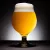 H-02750 Table Saison Ale 21L