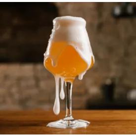 H-03120 Belgijski Tripel 21L