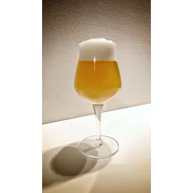 H-03500 RAW NEIPA 21L - BEZ KVASCA