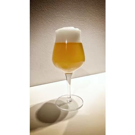 H-03500 RAW NEIPA 21L - BEZ KVASCA
