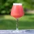 H-03700 Raspberry Sour 21L - BEZ KVASCA