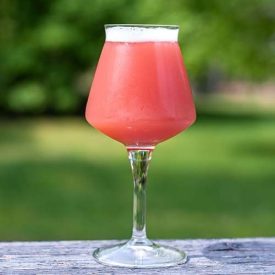 H-03740 Raspberry Sour 21L - YEASTFLOW