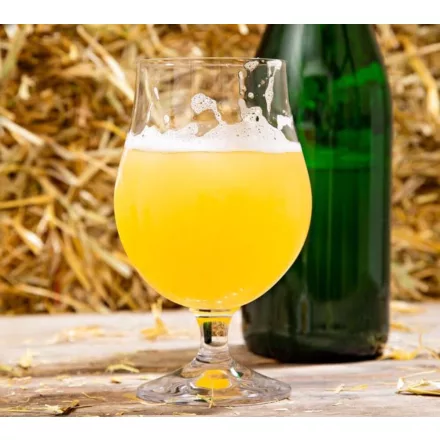 H-03640 Kölsch od bazge 21L - YEASTFLOW