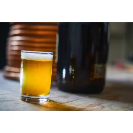 H-04010 "Washington" Centennial Smash IPA paket recepata