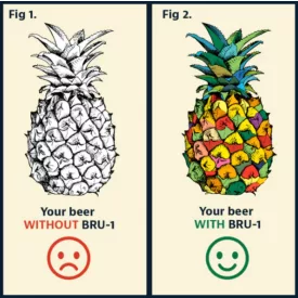 H-04310 'Ananas' BRU-1 SMaSH