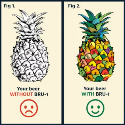 H-04300 "Ananas" BRU-1 SMaSH - BEZ KVASCA