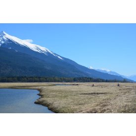 H-04910 "Wishram" Chinook SMaSH IPA