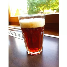 H-05330 Altbier - 21L