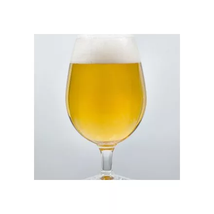 H-05810 "Original" German Pils - 21L