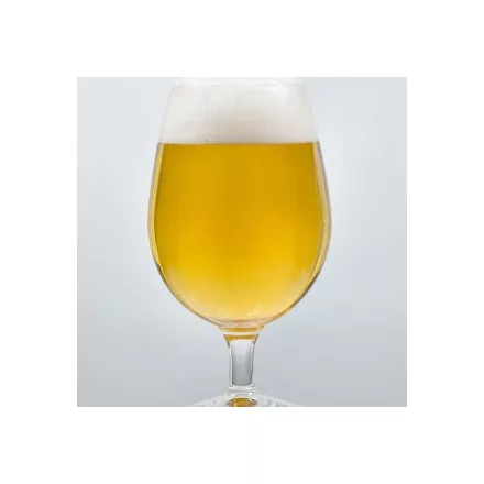 H-05800 "Original" German Pils - 21L - BEZ KVASCA