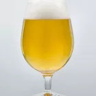 H-05840 "Original" German Pils - 21L - YEASTFLOW